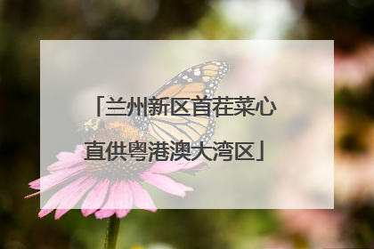 兰州新区首茬菜心直供粤港澳大湾区