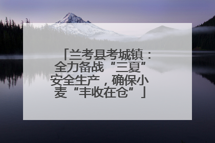 兰考县考城镇：全力备战“三夏”安全生产，确保小麦“丰收在仓”