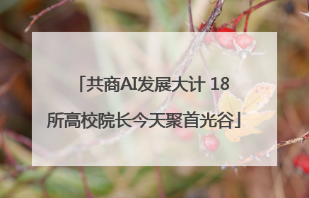 共商AI发展大计 18所高校院长今天聚首光谷