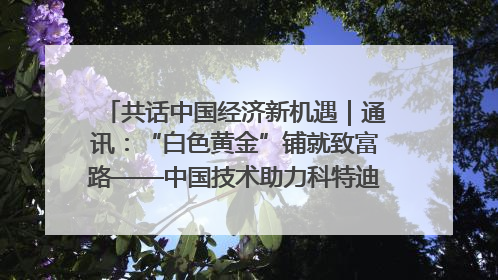 共话中国经济新机遇｜通讯：“白色黄金”铺就致富路——中国技术助力科特迪瓦橡胶产业增产增效