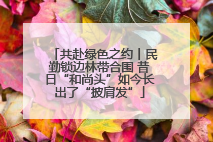 共赴绿色之约丨民勤锁边林带合围 昔日“和尚头”如今长出了“披肩发”