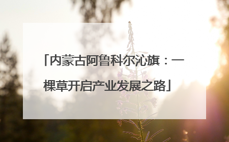 内蒙古阿鲁科尔沁旗：一棵草开启产业发展之路