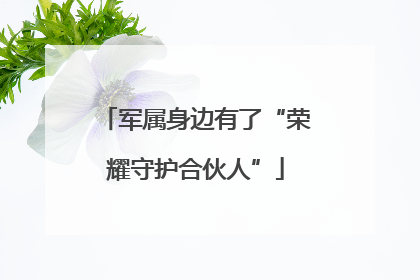 军属身边有了“荣耀守护合伙人”