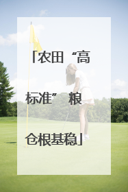 农田“高标准” 粮仓根基稳