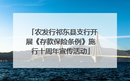 农发行祁东县支行开展《存款保险条例》施行十周年宣传活动