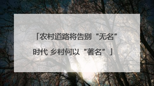 农村道路将告别“无名”时代 乡村何以“著名”