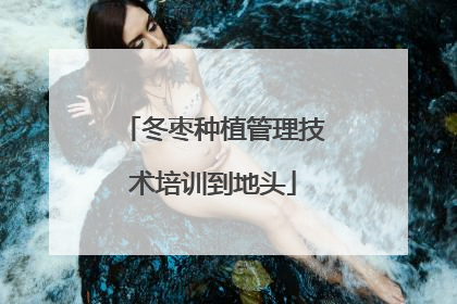 冬枣种植管理技术培训到地头