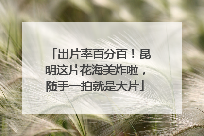 出片率百分百！昆明这片花海美炸啦，随手一拍就是大片