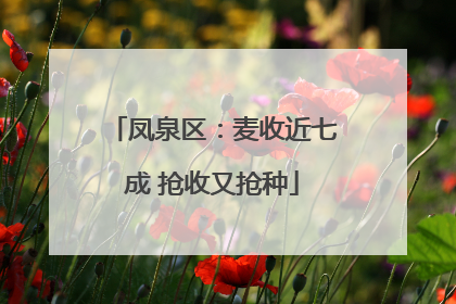 凤泉区：麦收近七成 抢收又抢种