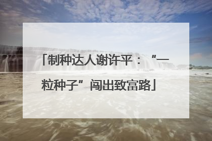 制种达人谢许平：“一粒种子”闯出致富路