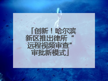 创新！哈尔滨新区推出律所“远程视频审查”审批新模式