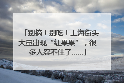 别摘！别吃！上海街头大量出现“红果果”，很多人忍不住了……