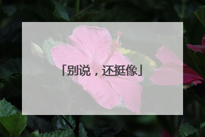 别说，还挺像
