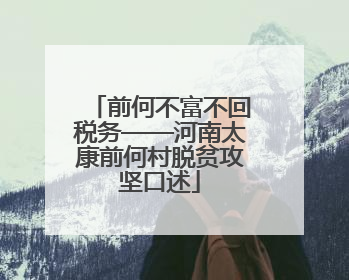 前何不富不回税务——河南太康前何村脱贫攻坚口述