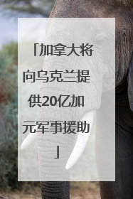 加拿大将向乌克兰提供20亿加元军事援助