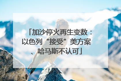 加沙停火再生变数：以色列“接受”美方案、哈马斯不认可