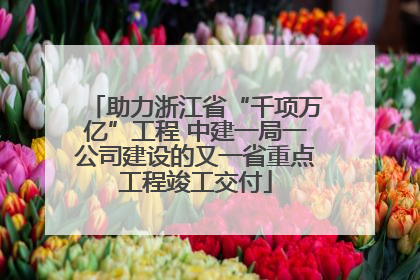 助力浙江省“千项万亿”工程 中建一局一公司建设的又一省重点工程竣工交付
