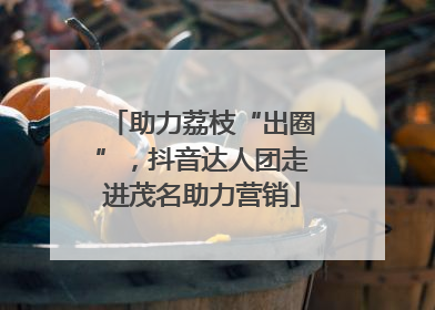 助力荔枝“出圈”，抖音达人团走进茂名助力营销
