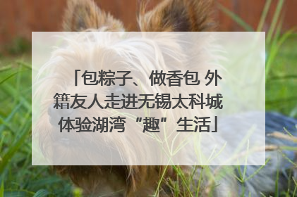 包粽子、做香包 外籍友人走进无锡太科城体验湖湾“趣”生活