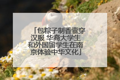 包粽子制香囊穿汉服 华裔大学生和外国留学生在南京体验中华文化