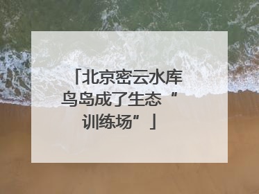北京密云水库鸟岛成了生态“训练场”