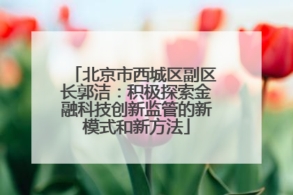 北京市西城区副区长郭洁：积极探索金融科技创新监管的新模式和新方法