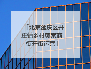 北京延庆区井庄镇乡村奥莱商街开街运营