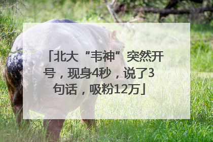 北大“韦神”突然开号，现身4秒，说了3句话，吸粉12万