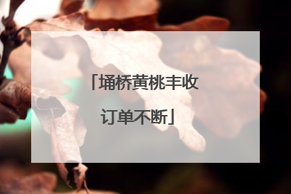 埇桥黄桃丰收 订单不断