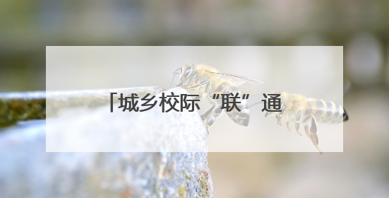 城乡校际“联”通梦想 江夏区校本研修现场“结”硕果