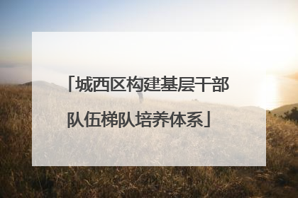 城西区构建基层干部队伍梯队培养体系