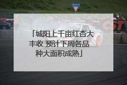 城阳上千亩红杏大丰收 预计下周各品种大面积成熟