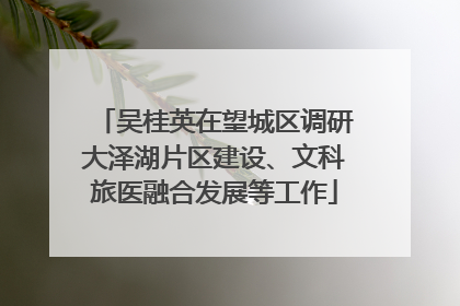 吴桂英在望城区调研大泽湖片区建设、文科旅医融合发展等工作