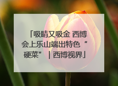 吸睛又吸金 西博会上乐山端出特色“硬菜”｜西博视界