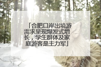 合肥口岸出境游需求呈现爆发式增长，学生群体及家庭游客是主力军
