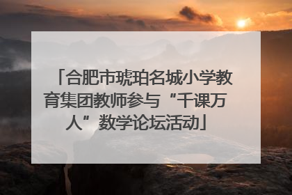 合肥市琥珀名城小学教育集团教师参与“千课万人”数学论坛活动