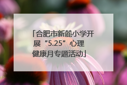 合肥市新麓小学开展“5.25”心理健康月专题活动