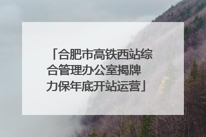 合肥市高铁西站综合管理办公室揭牌 力保年底开站运营