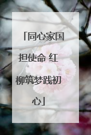 同心家国担使命 红柳筑梦践初心