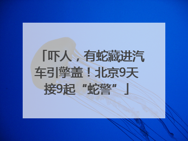 吓人，有蛇藏进汽车引擎盖！北京9天接9起“蛇警”