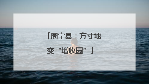 周宁县：方寸地变“增收园”