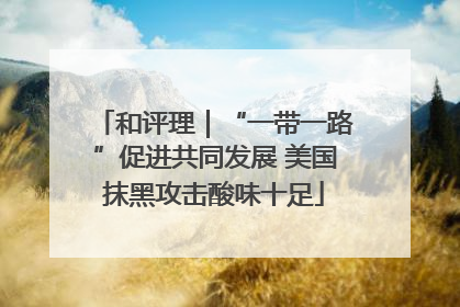 和评理｜“一带一路”促进共同发展 美国抹黑攻击酸味十足