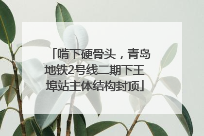 啃下硬骨头，青岛地铁2号线二期下王埠站主体结构封顶