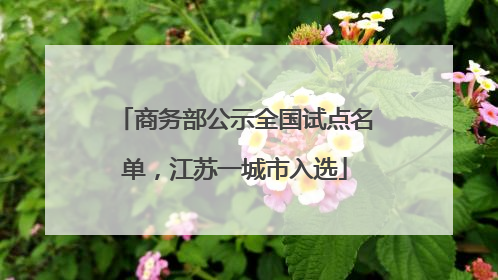 商务部公示全国试点名单，江苏一城市入选