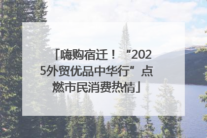 嗨购宿迁！“2025外贸优品中华行”点燃市民消费热情