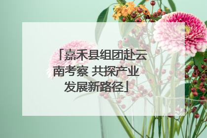 嘉禾县组团赴云南考察 共探产业发展新路径