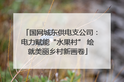 国网城东供电支公司：电力赋能“水果村” 绘就美丽乡村新画卷
