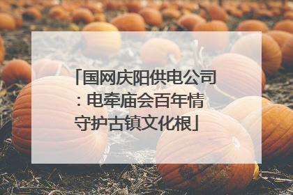 国网庆阳供电公司：电牵庙会百年情 守护古镇文化根