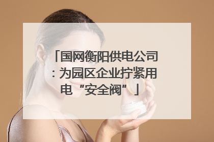 国网衡阳供电公司：为园区企业拧紧用电“安全阀”