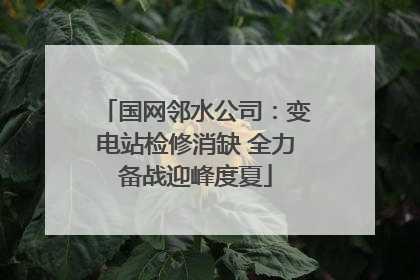 国网邻水公司：变电站检修消缺 全力备战迎峰度夏